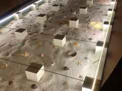 -青岛贝壳博物馆