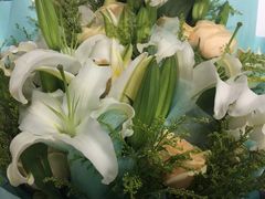 -山珍王国·云南野生菌石锅鱼