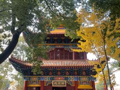 -宝通禅寺