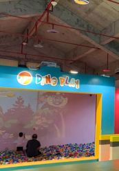 -恐龙探索乐园(磁器口店)