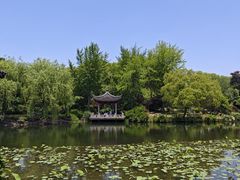 -南园(太仓市)