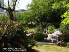 -新虹桥中心花园