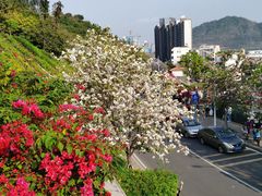-小南山公园