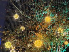 -无锡新湖铂尔曼大酒店