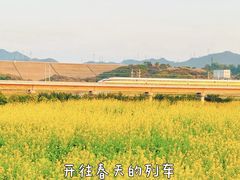 -光明小镇欢乐田园