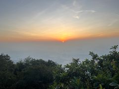 -梧桐山风景名胜区