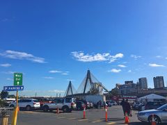 -悉尼鱼市场