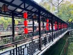 -侨美·唐荔园·40年地道粤菜