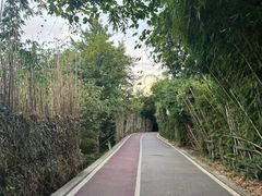 -贵阳市花溪国家城市湿地公园