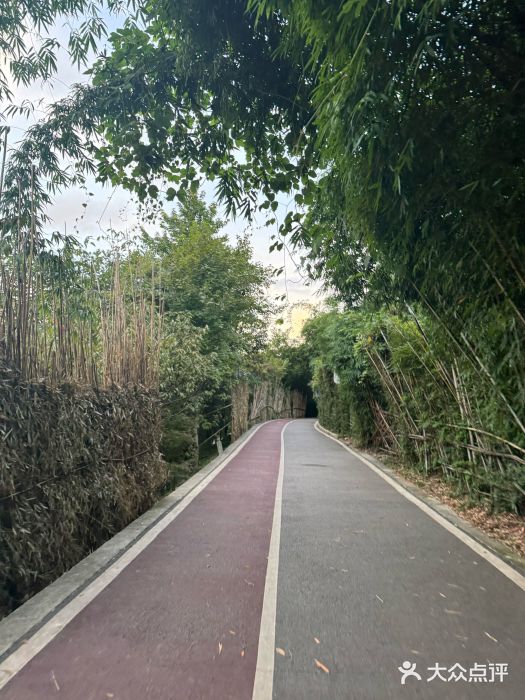 贵阳市花溪国家城市湿地公园图片