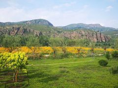 -塞罕坝国家级自然保护区