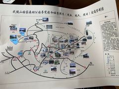 -武陵山森林公园