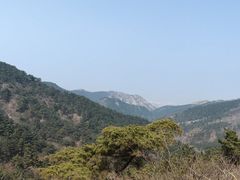 -金龙寺国家森林公园