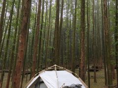 -山王坪喀斯特国家生态公园