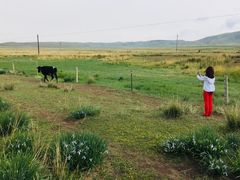 -青海湖国家重点风景名胜区