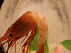 -青岛海泉湾皇冠假日度假酒店-天海日餐厅