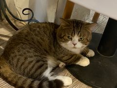 -小时光咖啡馆(北锣鼓巷店)