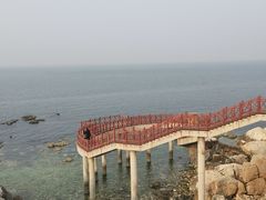 -养马岛旅游度假区