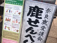 -奈良公园