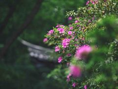 -南山风景名胜区