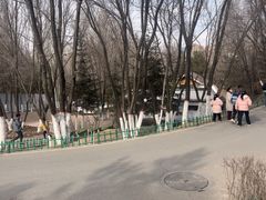 -青藏高原野生动物园