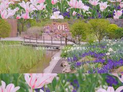 -上海辰山植物园