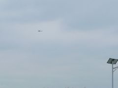 -洪湖湿地生态园