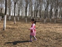 -东郊湿地公园