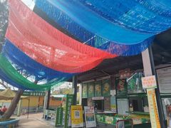 -芦仙山景区-飞越丛林探险乐园