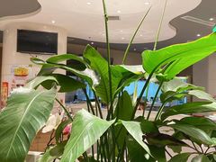 -马仕玖煲(万宴城店)