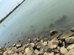 -漕湖湿地公园