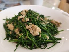 -新疆兵团食府清真(马连道店)