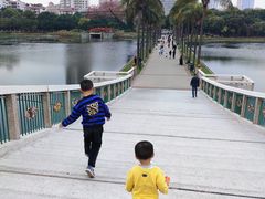 -南宁南湖公园