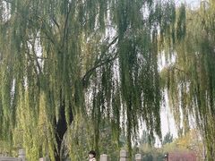 景点-丰台花园