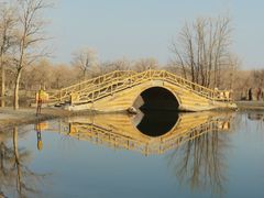 -金塔沙漠胡杨林景区