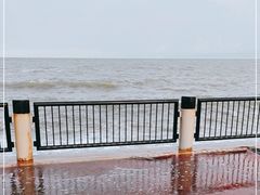 -东堤公园