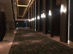 -上海崇明金茂凯悦酒店