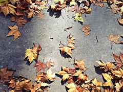 iphone_upload_pic-河南省黄河迎宾馆