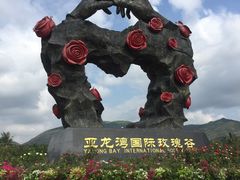 -亚龙湾国际玫瑰谷