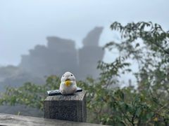 -梵净山旅游区