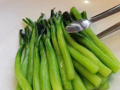 -食神鱼头佛跳墙(百子湾旗舰店)