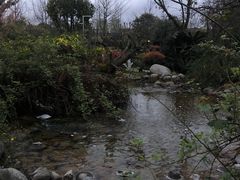 -成飞公园