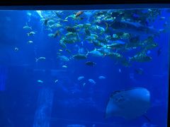 -太平洋海底世界