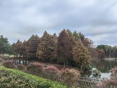 -厦门园林博览苑