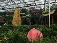 -兰陵国家农业公园