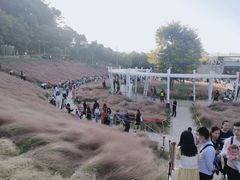 -牛岗山公园