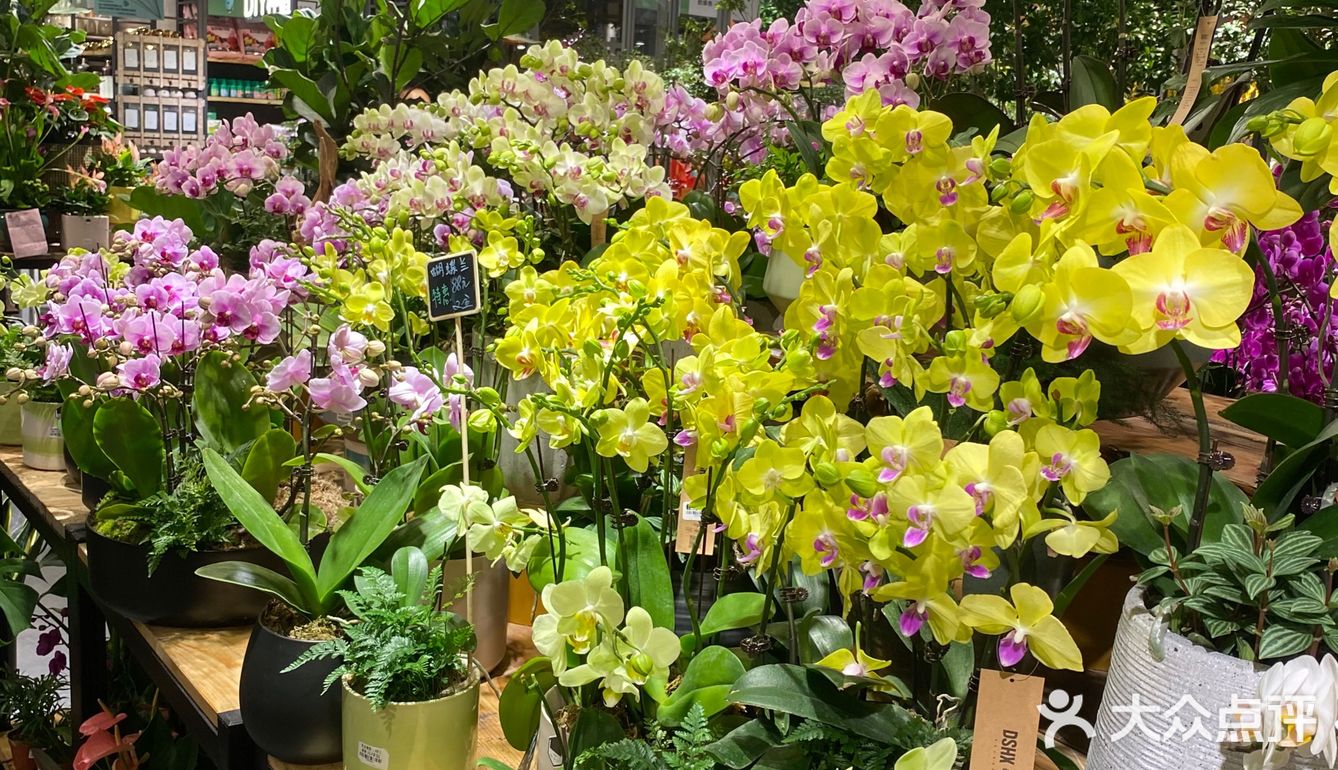 都是花乡