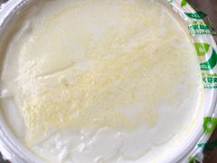 -德禄酸奶(莫家街店)