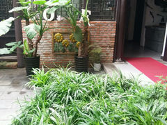 android_upload_pic-花筑·扬州个园客栈(瘦西湖东关街店)
