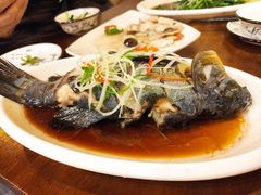 高原雪山鱼-小厨子私房菜·云南美食店